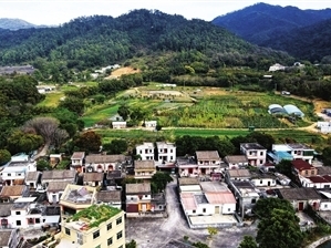 谋篇布局构建乡村振兴 全域美丽大格局