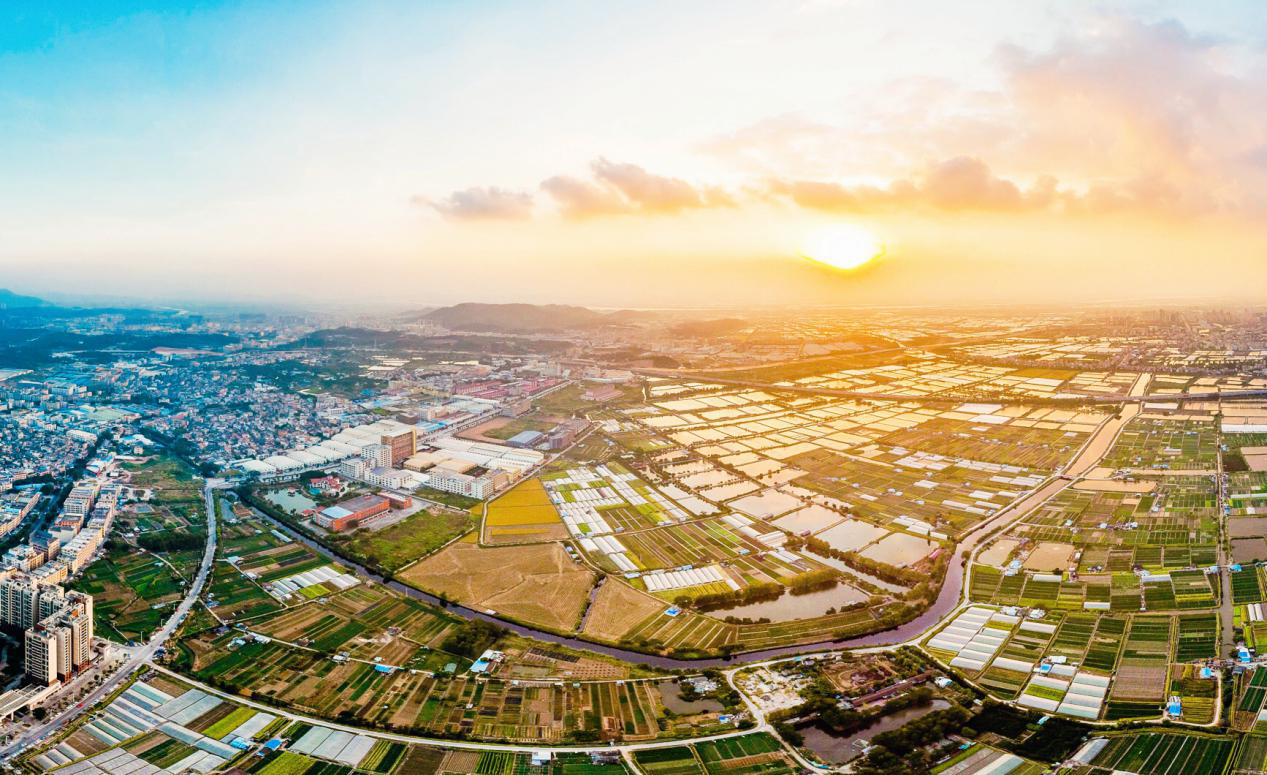 樟树市各乡镇人口_樟树市岐黄小镇图片(3)