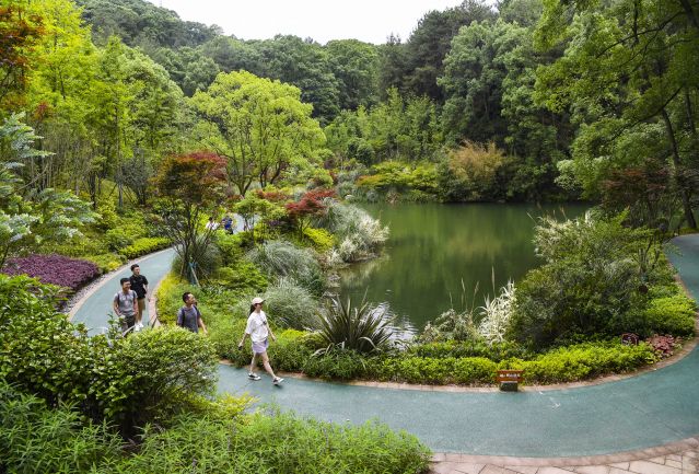 重庆缙云山城市绿肺又回来了