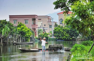 "山水板芙"宜居宜游_新闻频道_中山网