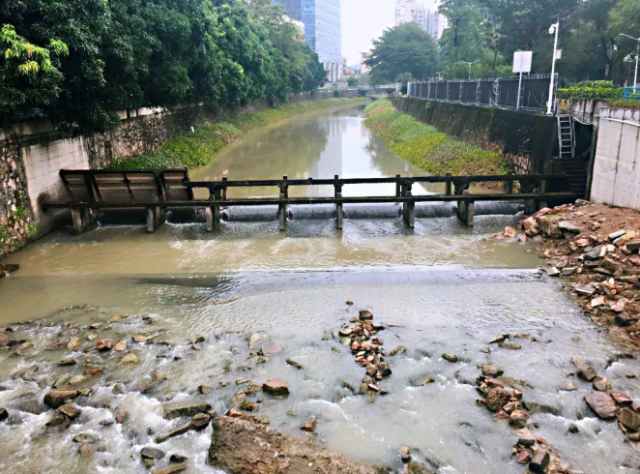 东区街道人口_中山东区街道分布图