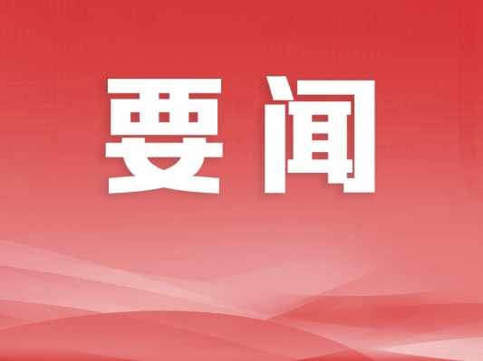 中山：坚定不移扛起政治建设这个首要责任，紧紧围绕市党代会报告久久为功抓落实