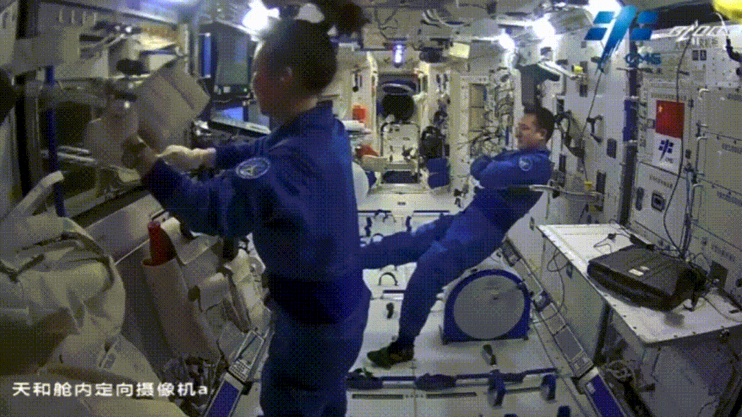 1128478995_16474960055401n.gif