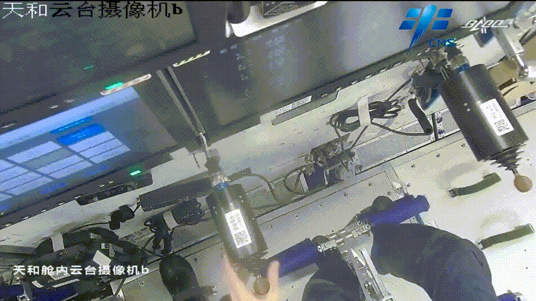 1128478995_16474958403911n.gif