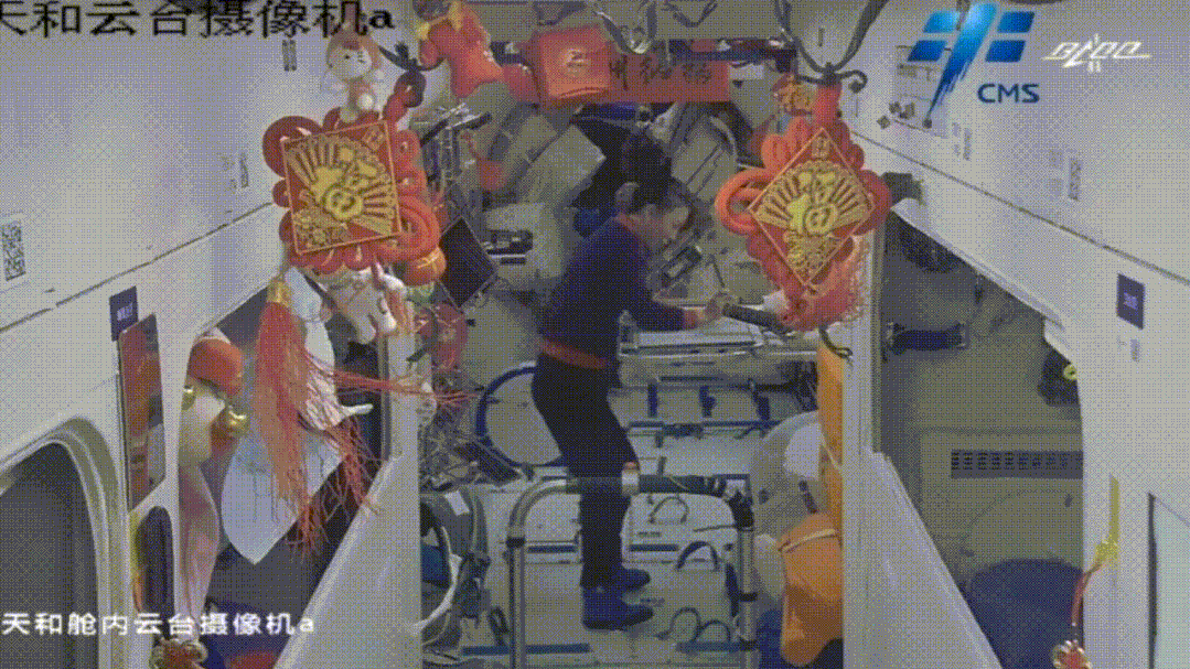 1128478995_16474959496111n.gif