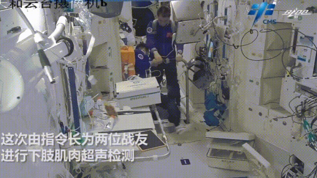 1128478995_16474959130201n.gif