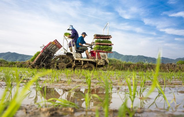 春暖时节,各地农民抢抓时机进行春耕生产,大江南北呈现春日农忙画卷.