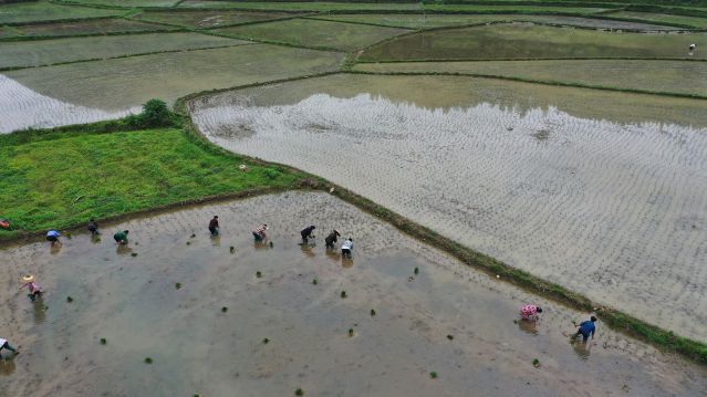 #（经济）（4）初夏时节农事忙(2394861)-20220514085005.JPG