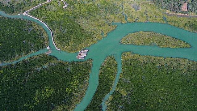 （新华全媒＋）（8）湿地之美丨广西山口红(2673974)-20221101100929.JPG