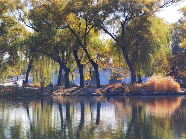 （环境）（3）玉渊潭畔秋意浓(2681969)-20221105090712.jpg