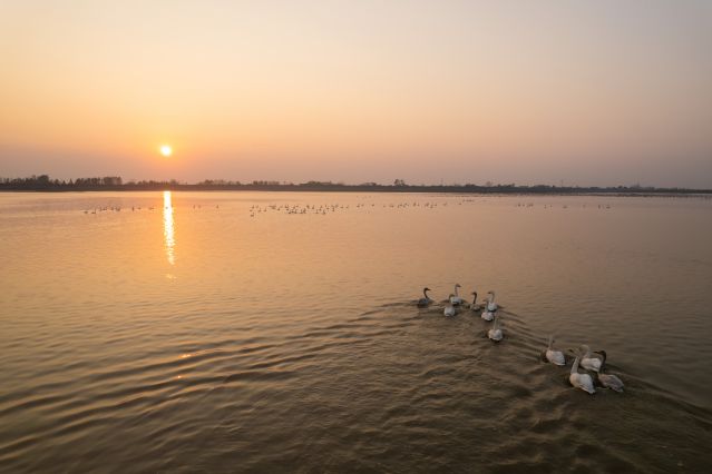 （新华全媒 ）（2）湖南常德：候鸟翔集西(2691941)-20221111104402.JPG