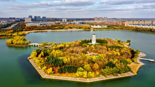 （新华全媒 ）（8）大美湿地城市丨东营(2697766)-20221115105905.JPG