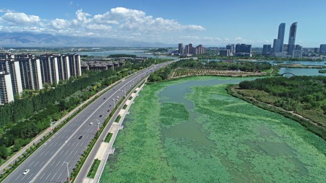 （新华全媒 ）（24）大美湿地城市丨银川(2699494)-20221116101628.JPG