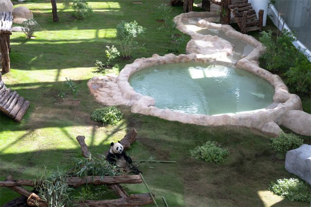 （体育）（5）足球——卡塔尔世界杯临近 (2704222)-20221118091656.jpg