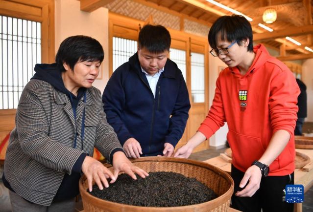 武夷山燕子窠老板图片