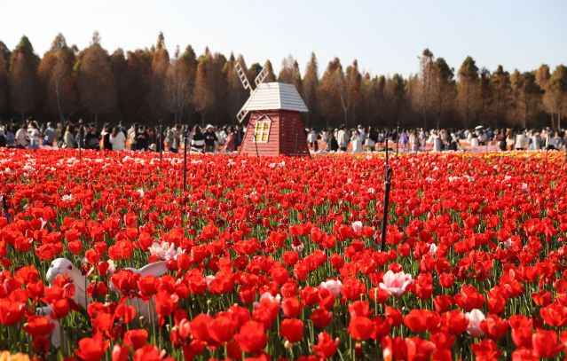 #（环境）（4）花开中国(2837502)-20230213102948.JPG