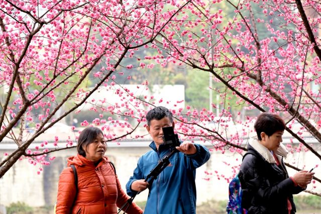 #（环境）（11）花开中国(2837500)-20230213103150.JPG