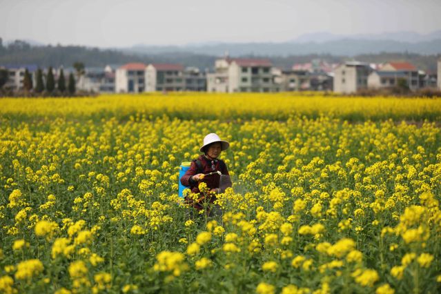 #（新华全媒 ）（10）诗意中国——春色(2858699)-20230224103717.JPG
