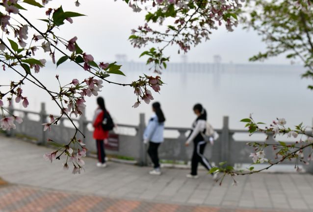 #（社会）（9）不负好春光(2934343)-20230403095322.JPG