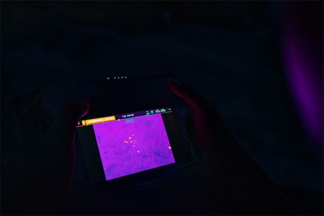 （新华全媒头条·图文互动）（9）野象分家(3013282)-20230516092431.jpg