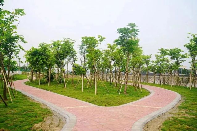 08.jpg