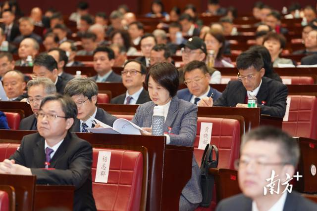 南方+ 张梓望 拍摄