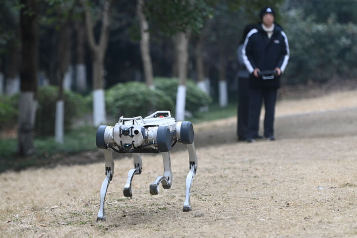 2025年2月10日，杭州云深处科技的工作人员在动态展示“绝影”系列机器人。新华社记者 黄宗治 摄
