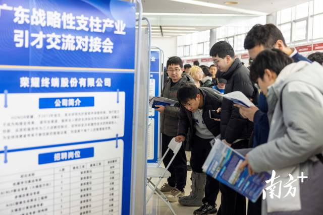 今年2月，上海交大举办的引才对接会上，学生正在了解广东岗位的相关信息。南方+资料图