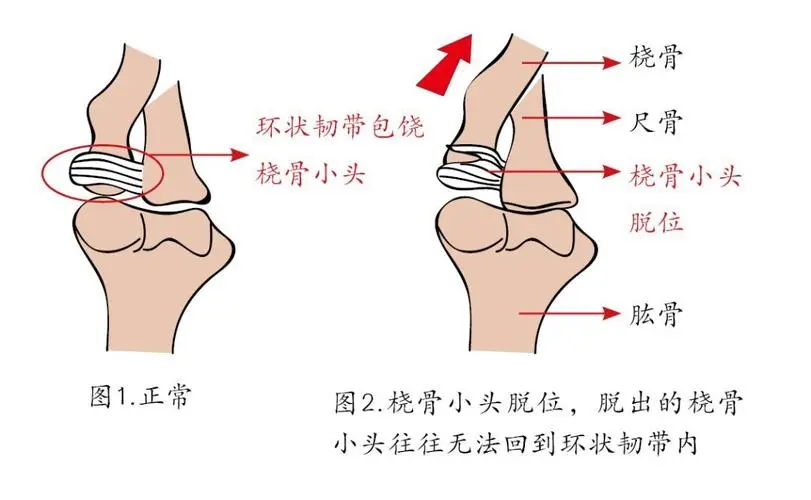 微信图片_20250516094536.png