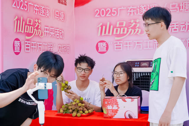 5月15日，2025广东遂溪（乌塘）仙品荔开采活动暨“百千万工程”文旅周在湛江市遂溪县乌塘镇新屋村举行，跑好今年广东荔枝营销的第一棒。（张文捷 摄）
