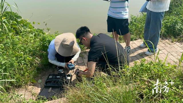 “四通清源·會綠興粵”實(shí)踐支隊(duì)成員使用便攜式檢測儀器對綏江水質(zhì)進(jìn)行實(shí)地檢測。