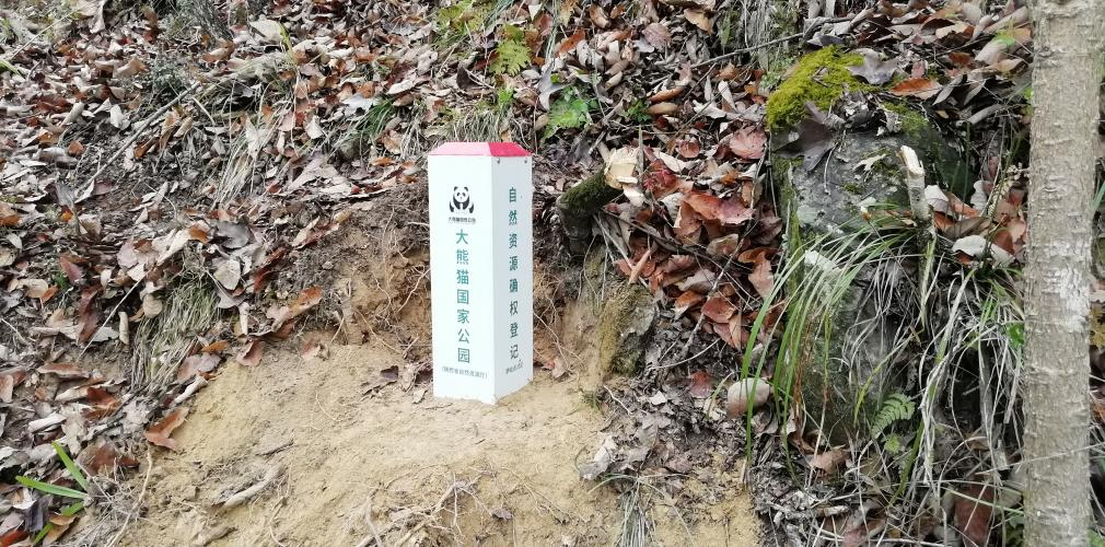 大熊猫国家公园确权登记界桩