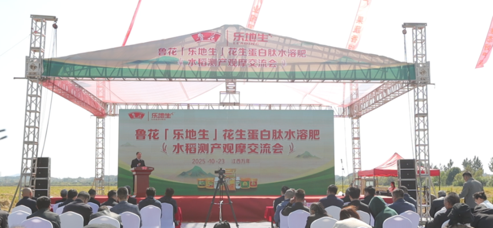 202510272b0b0deddb024e1a8d6b317d8791818f_20251027a