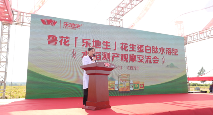 202510272b0b0deddb024e1a8d6b317d8791818f_20251027d