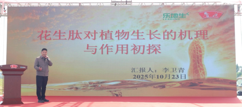 202510272b0b0deddb024e1a8d6b317d8791818f_202510270