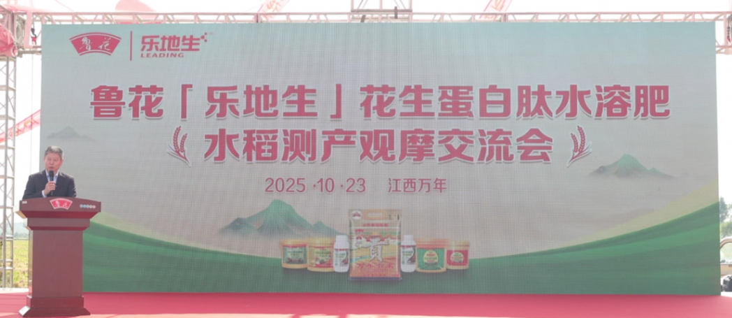 202510272b0b0deddb024e1a8d6b317d8791818f_202510276