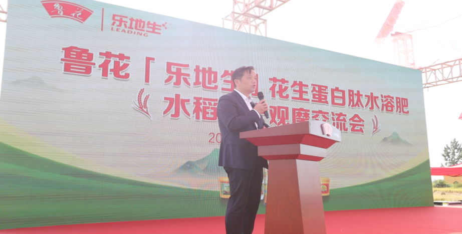 202510272b0b0deddb024e1a8d6b317d8791818f_202510275