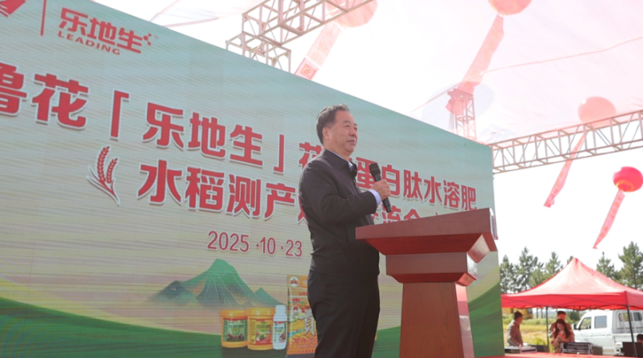 202510272b0b0deddb024e1a8d6b317d8791818f_202510277