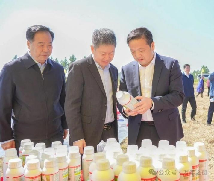 202510272b0b0deddb024e1a8d6b317d8791818f_202510279