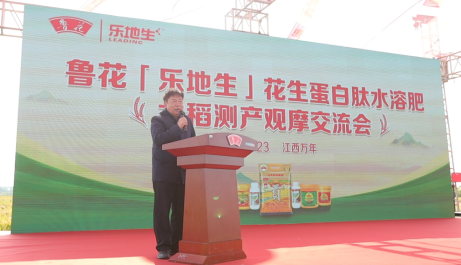 202510272b0b0deddb024e1a8d6b317d8791818f_20251027d