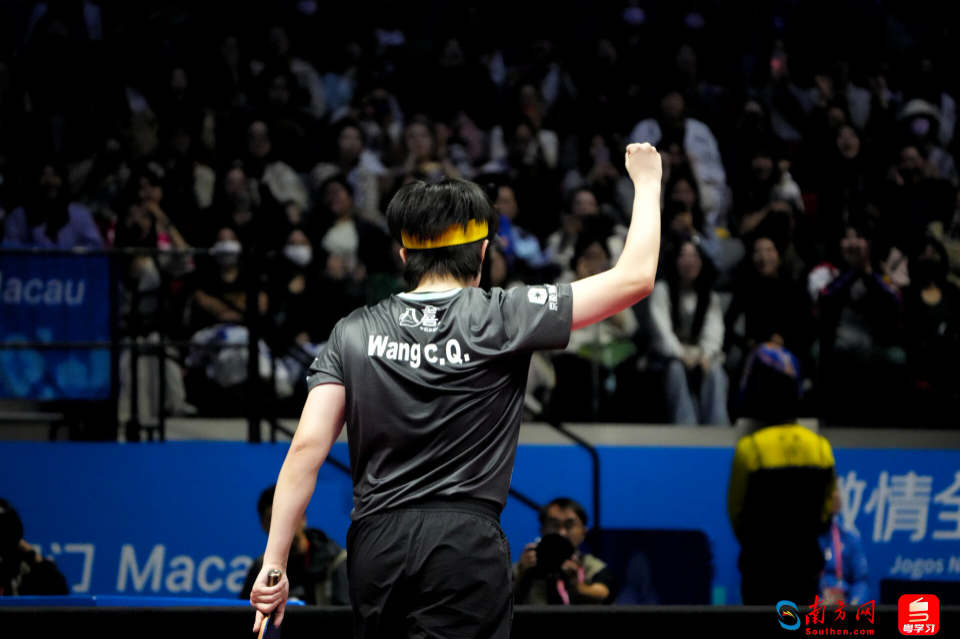 北京隊(duì)王楚欽在比賽中