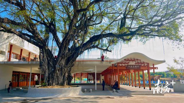 由僑領(lǐng)吳清亮先生捐建的“大吳會客廳”建成啟用。