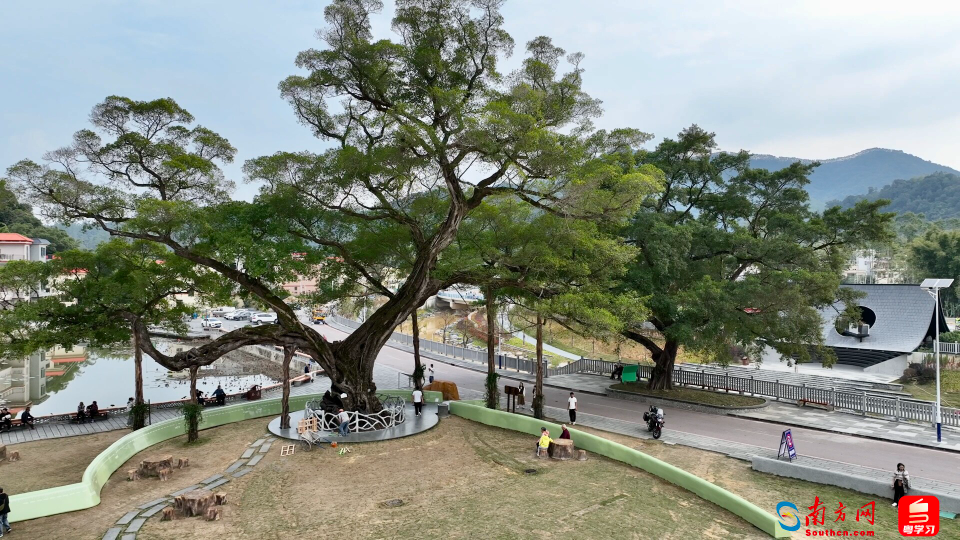 千年古榕文学村