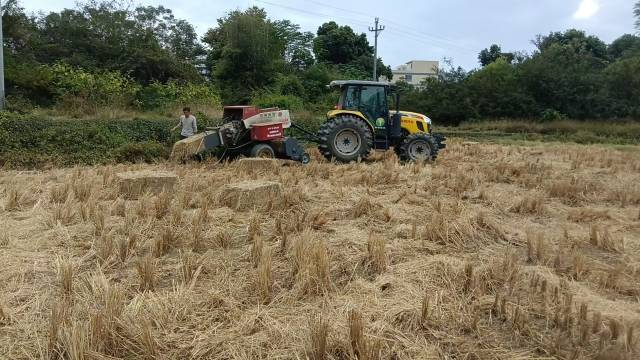 水稻秸秆收集