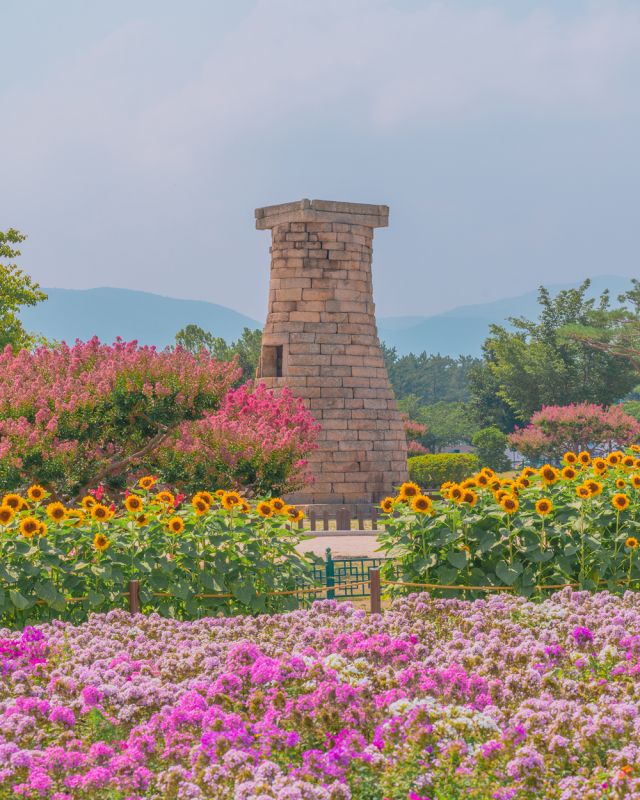 1.瞻星臺-?? ??? ????-2024 ???_副本.jpg