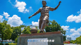 6.gif