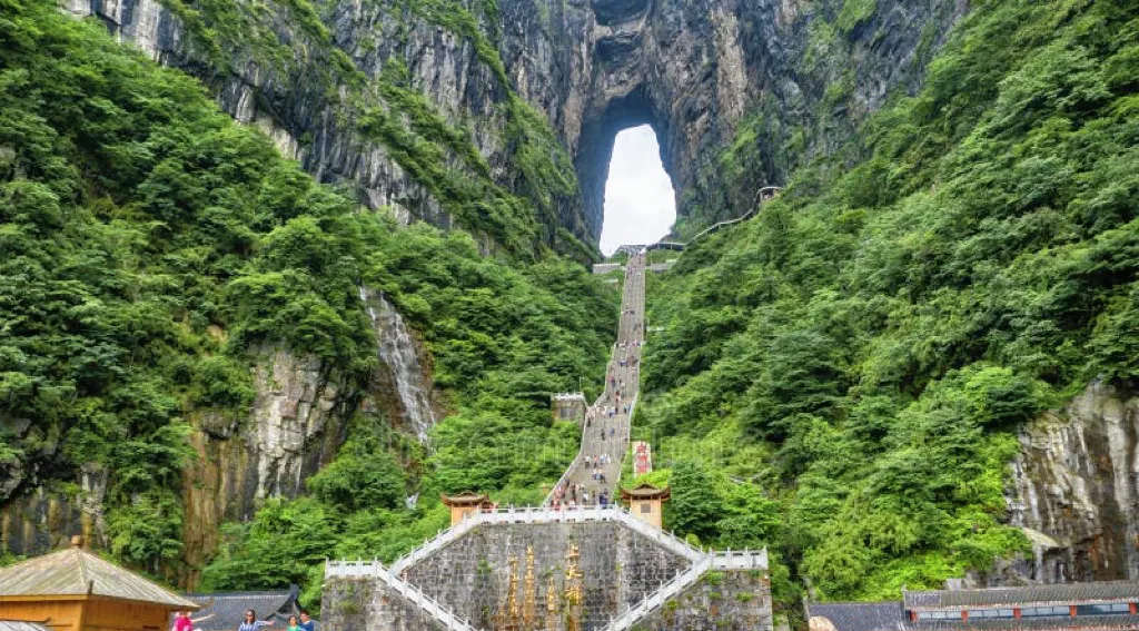 图片11.png