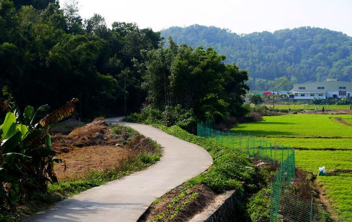 厉害三乡镇入选全国农村综合性改革试点试验区