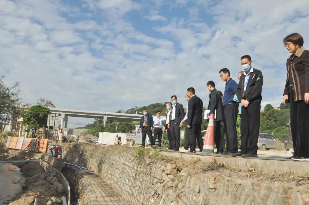 市民关心的这些民生实事进展如何神湾镇组织人大代表开展调研视察