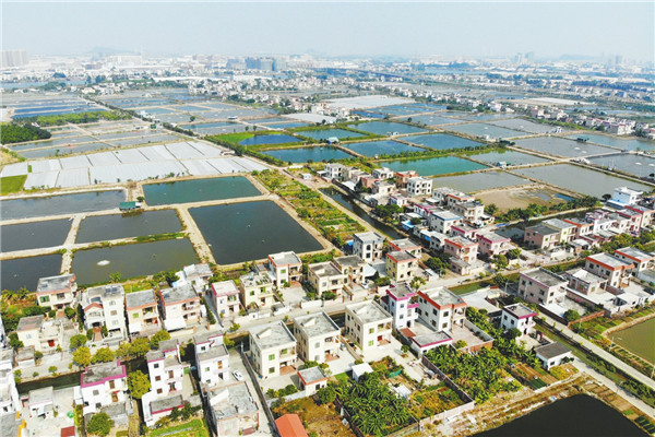 行走中山革命老区村48阜沙镇大有村从农业村蝶变网红村